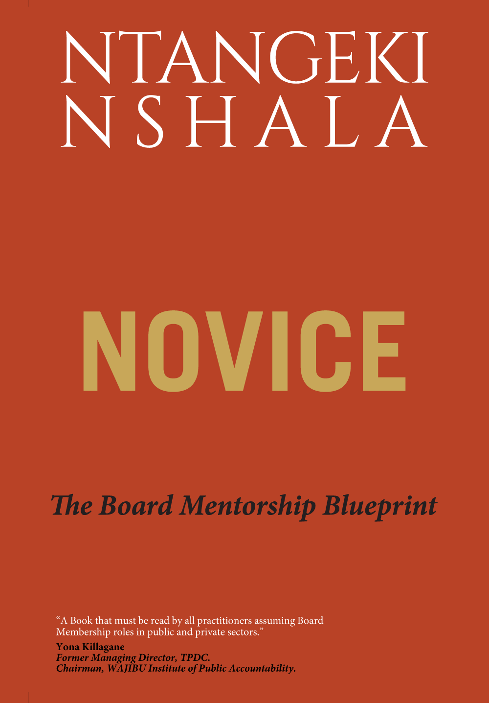 NOVICE – The Board Mentorship Blueprint